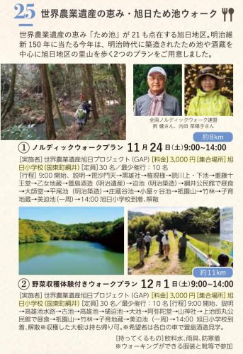 世界農業遺産の恵み・旭日ため池ウォーク ②野菜収穫体験付きウォークプラン 約11km