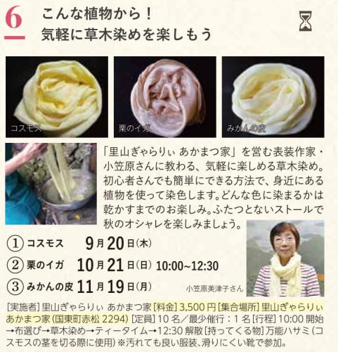 こんな植物から!気軽に草木染めを楽しもう ③みかんの皮