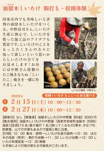 油留木しいたけ 駒打ち・収穫体験②