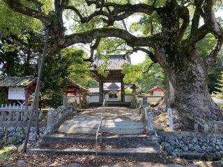 Tsubaki Hachiman Shrine