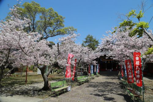 櫻八幡神社