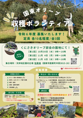 国東オリーブ収穫ボランティア　募集！