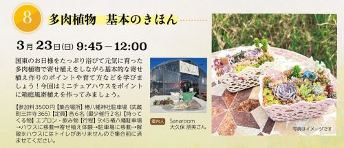 国東おだやか博　多肉植物　基本のきほん