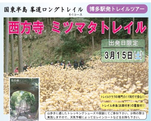 お陰様で完売いたしました。博多駅発トレイルツアー　西方寺　ミツマタトレイル