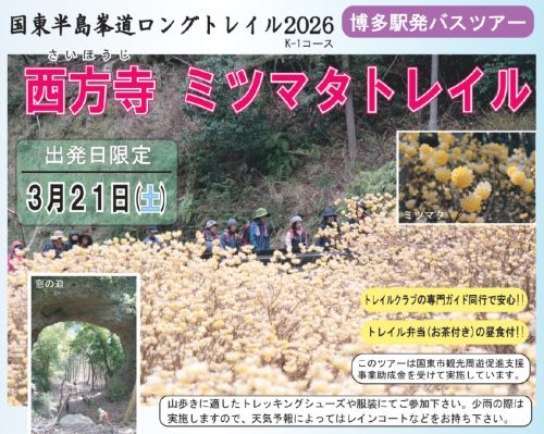 　大人気！博多駅発トレイルツアー　西方寺　ミツマタトレイル