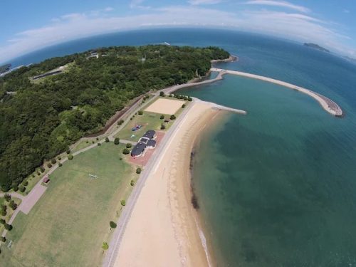 国見海浜公園　マダコ釣り　限定解禁！