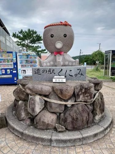 国見海浜公園　マダコ釣り　限定解禁！